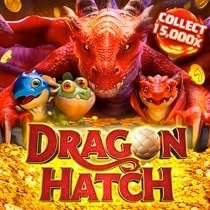 PG Dragon Hatch
