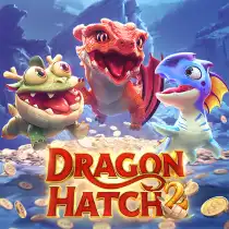 PG Dragon Hatch 2